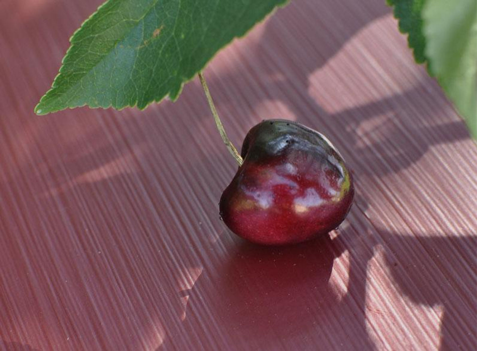 Cerise