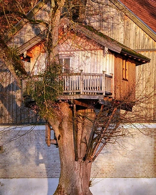 huile naturelle pour bois