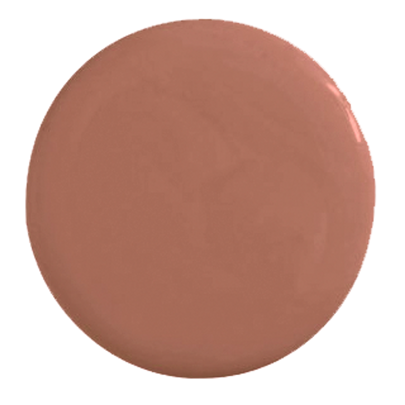 Argousier