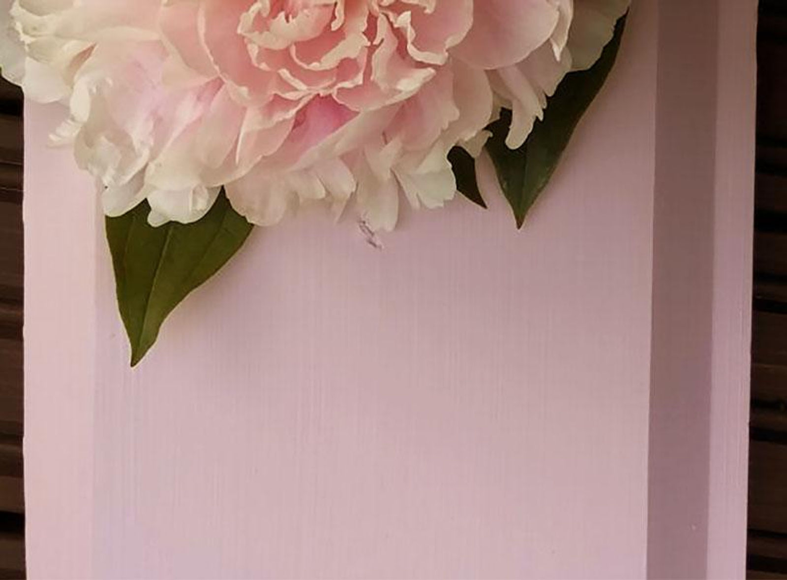 Pivoine