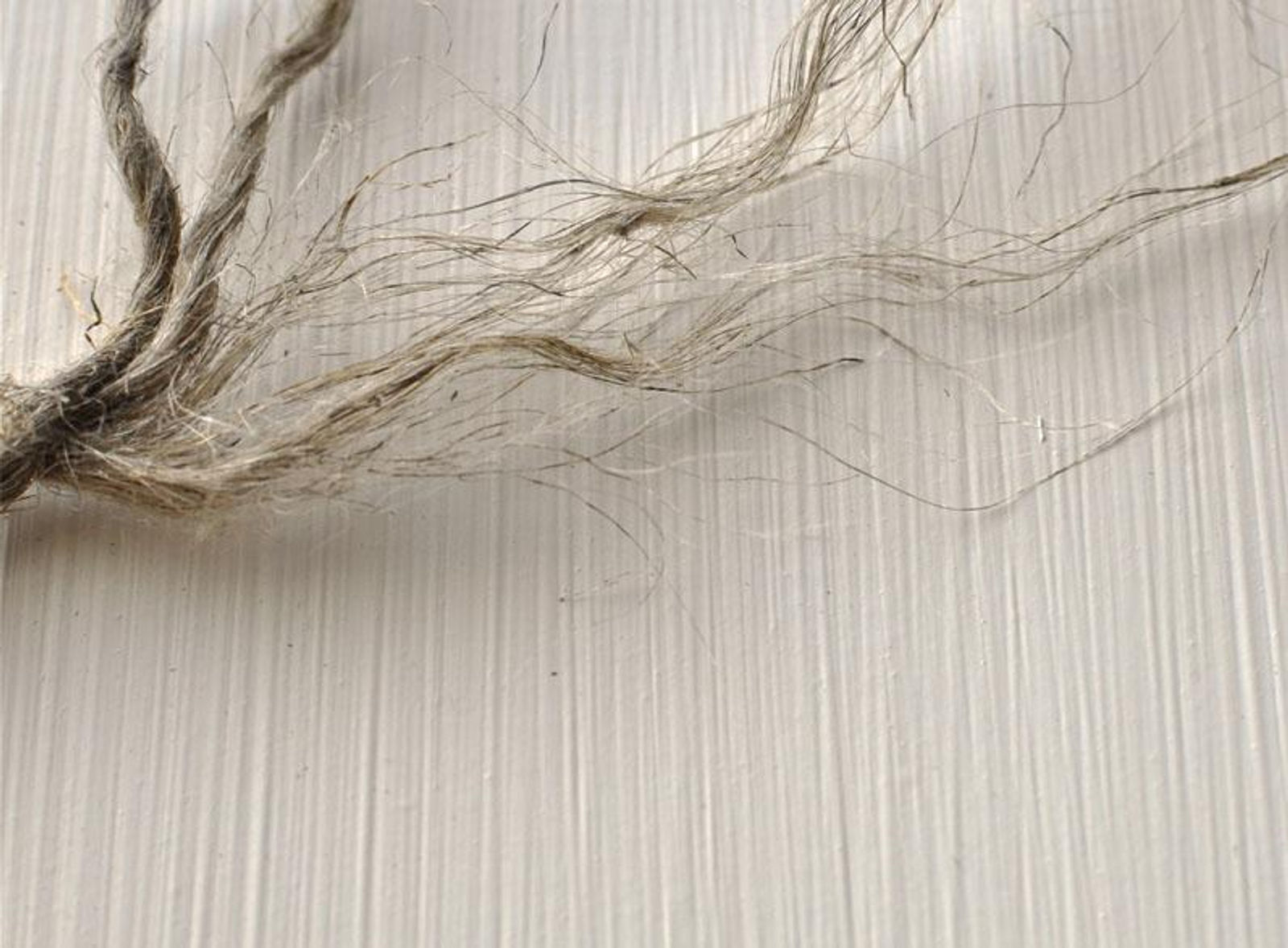 Jute